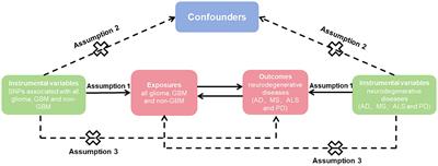 Association between glioma and neurodegenerative diseases risk: a two-sample bi-directional Mendelian randomization analysis
